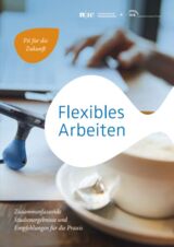 Cover von Flexibles Arbeiten - Zusammenfassende Studienergebnisse und Empfehlungen für die Praxis