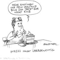 5. Kantonale BGM-Veranstaltung 2015 Cartoon Nr. 15